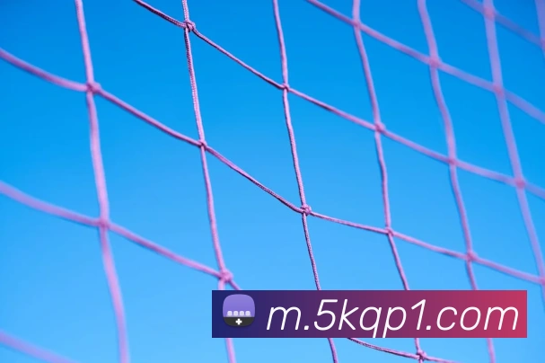 App Interface Preview